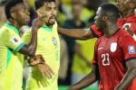 ecuador national football team vs brazil national football team matches