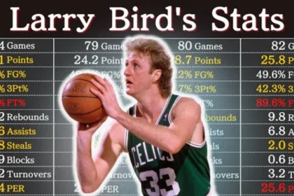 Larry Bird Career Stats